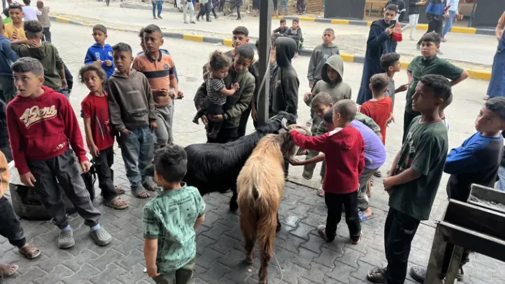 عيد الأضحى في غزة: طقوس غائبة وأوضاع إنسانية صعبة