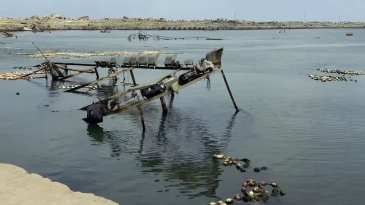 الاحتلال يسيء الظن بصيادي غزة وبحريتهم