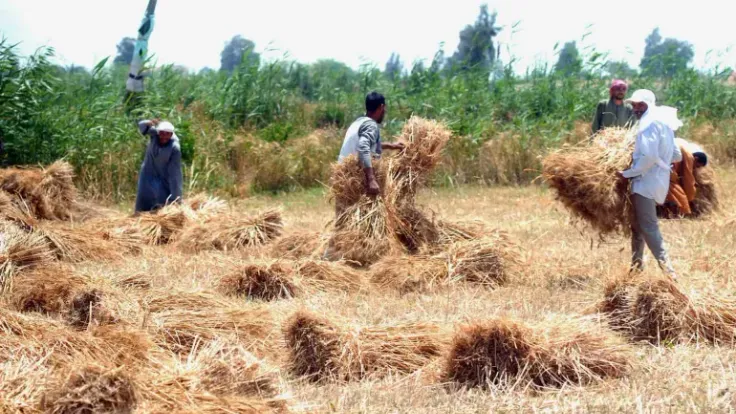 حرب إيران تُهدّد أمن غذاء أفريقيا.. أزمة أسمدة عالمية