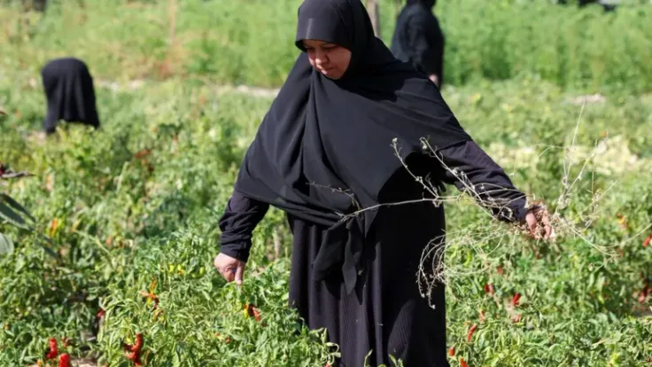 نساء جنوب لبنان يواجهن تبعات الحرب بإعادة بناء حياتهن