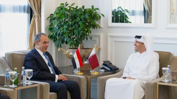 رئيس وزراء قطر ووزير خارجية مصر يحددان سبل خفض التصعيد الإقليمي