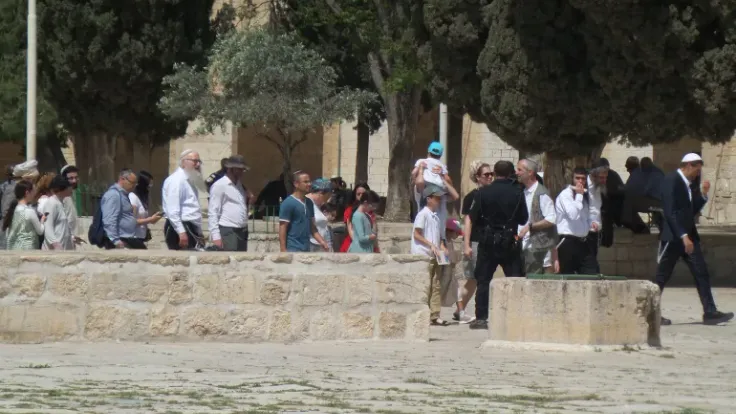 مئات المستوطنين يقتحمون المسجد الأقصى في اقتحام جديد