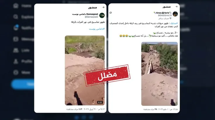 تمساحان يثيران الجدل في العراق وسوريا.. ما الحقيقة وراء الفيديو المزيف؟