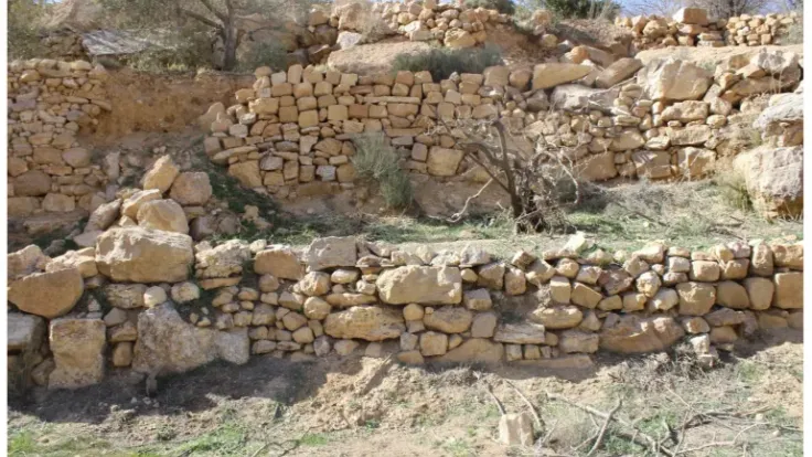 طين البتراء يبتلع السيول: حل غموض التربة الطينية