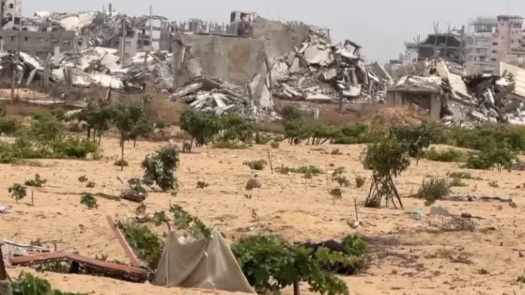 4 ملايين شجرة دمرها الاحتلال الإسرائيلي في غزة: كواليس هندسة الجوع