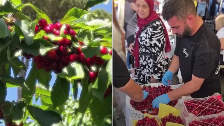 مهرجان كرز حمانا يجمع النازحين ويعيد الفرح للجنوب لبنان